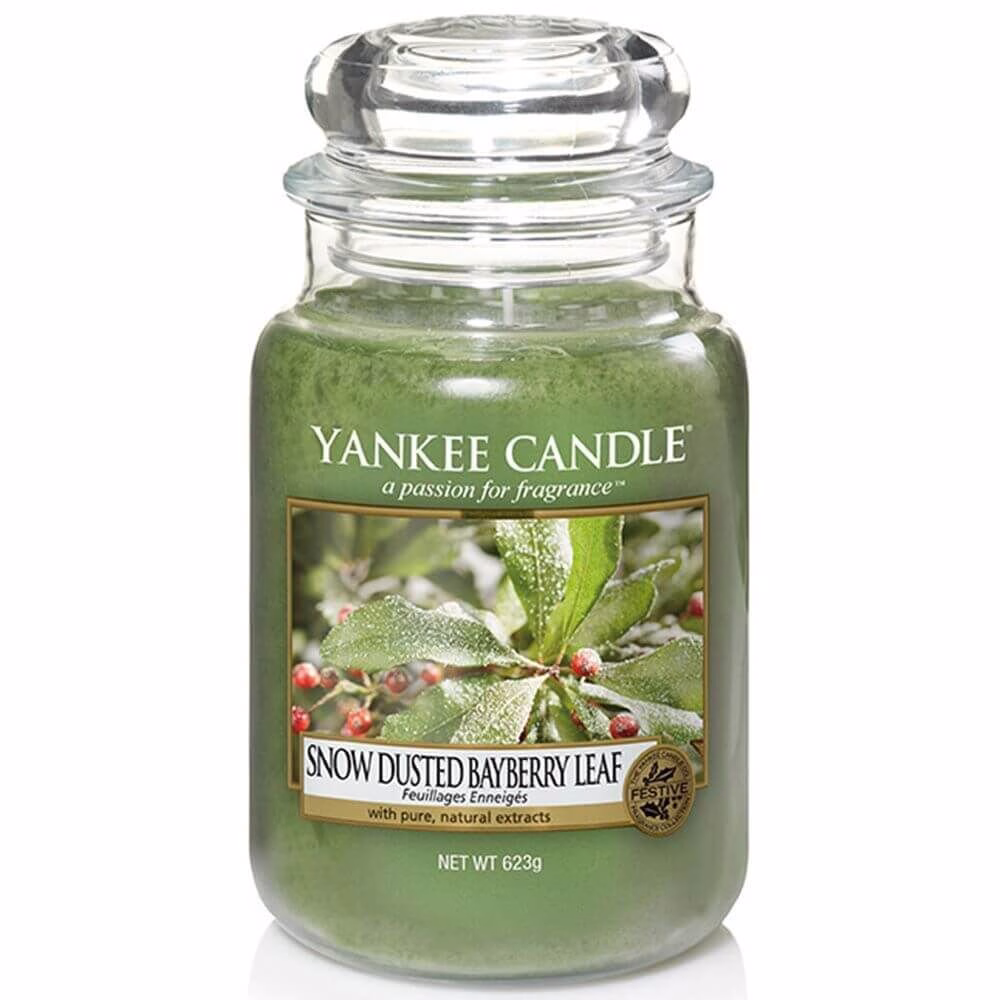 1595632E Snow Dusted Bayberry Leaf 623g