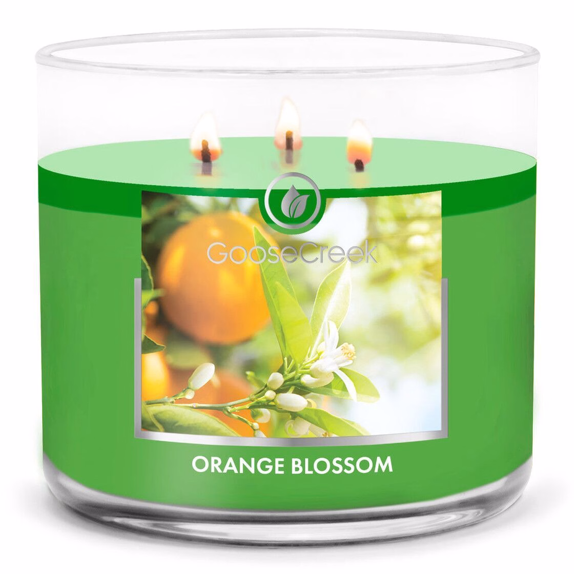 orange-blossom-3-docht-kerze-411g Orange Blossom 411g (3-Docht)