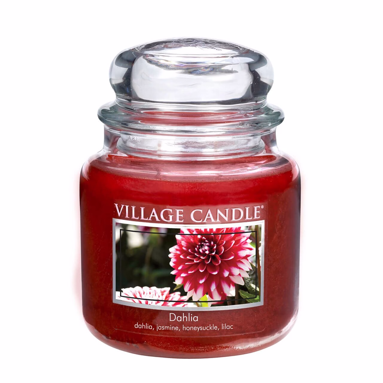 dahlia7ctM1nXY4Bk9R Dahlia 389g