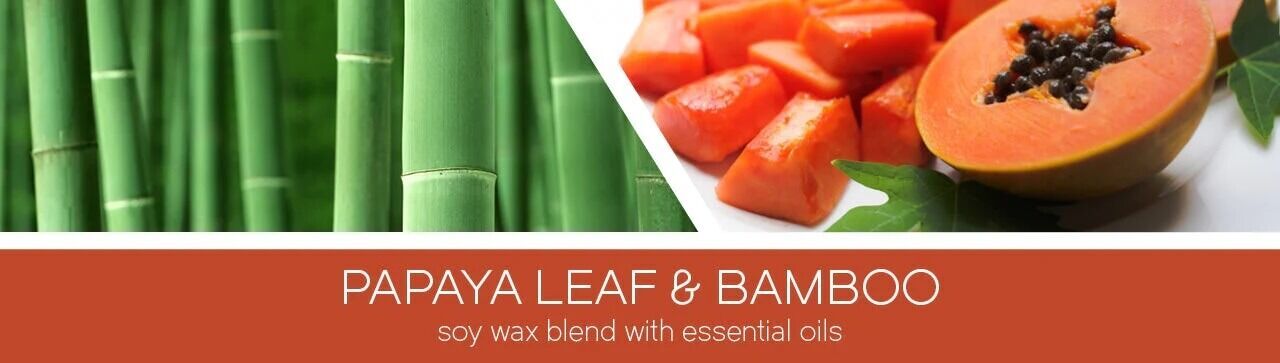 Papaya Leaf & Bamboo 411g (3-Docht) Papaya Leaf & Bamboo 411g (3-Docht)