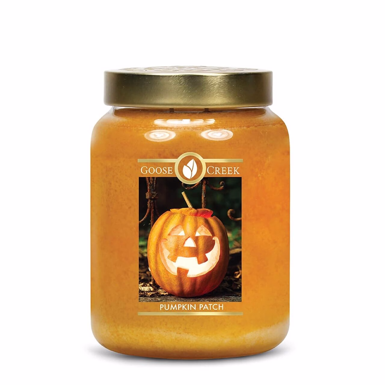 Pumpkin Patch 680g