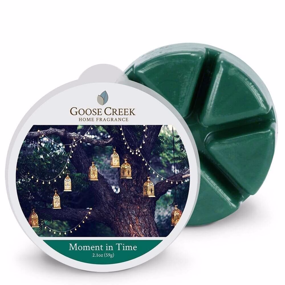 Goose Creek Candle Frozen In Time 59g