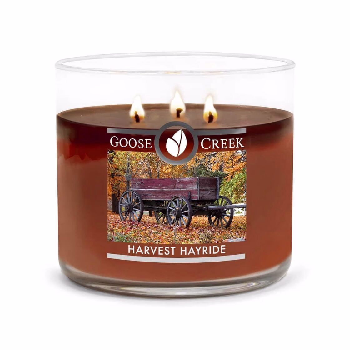 Harvest Hayride 411g (3-Docht)