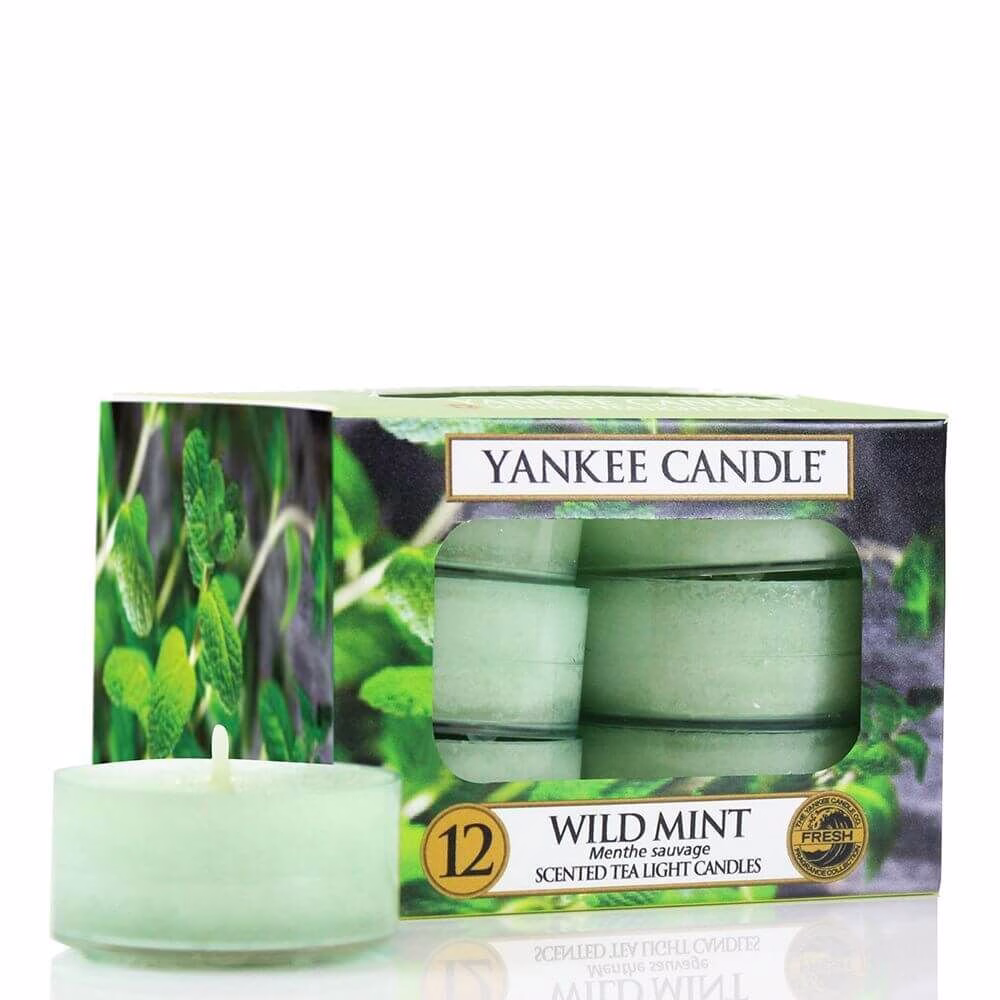 1542823e_2017-2 Yankee Candle Wild Mint 12St Teelichte