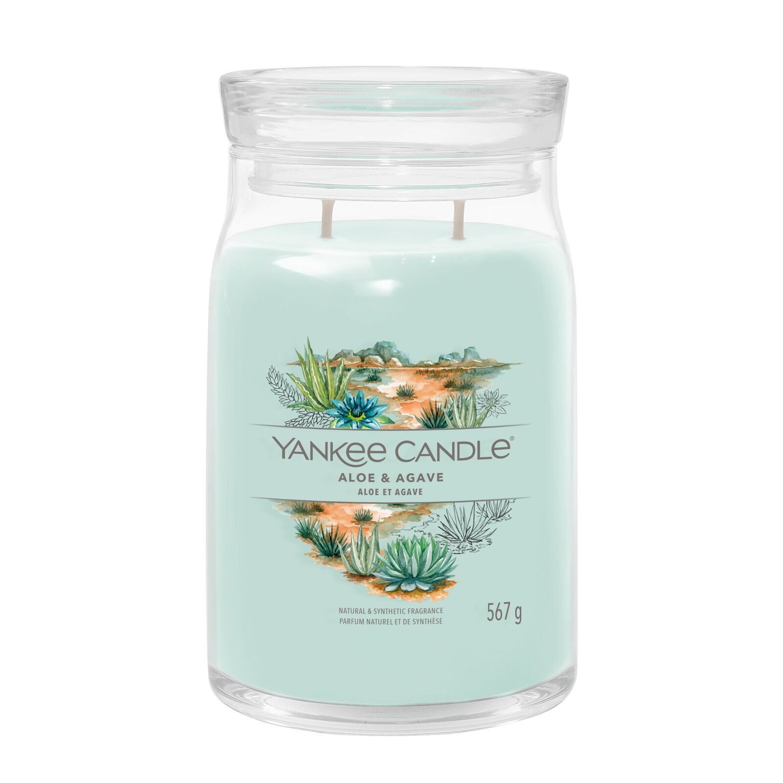 Aloe-Agave_Large Aloe & Agave Signature Large Jar 567g 2-Docht