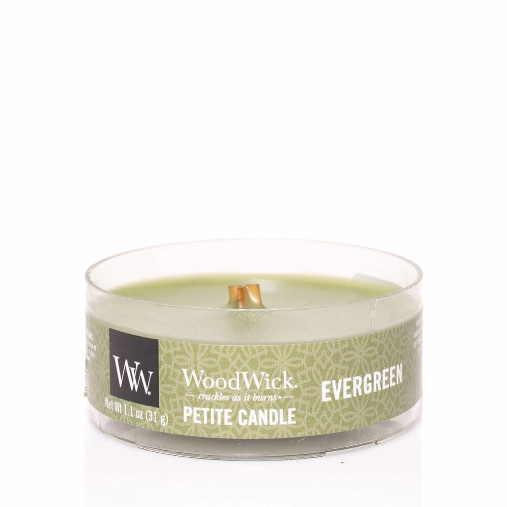 314246_w-o-Lid Evergreen Petite Candle 31g von Woodwick