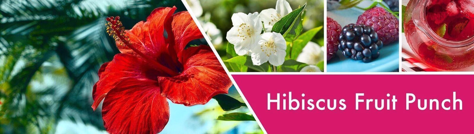 Hibiscus-Fruit-Punch-Fragrance-1 Hibiscus Fruit Punch 411g